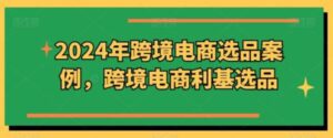 2024年跨境电商选品案例，跨境电商利基选品（更新）-0716网赚平台