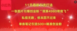 小红书11月最新图片打粉，一张图片引爆创业粉，“预算4980带我飞”，单条引流500+精准创业粉-0716网赚平台