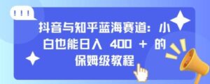 抖音与知乎蓝海赛道：小白也能日入 4张 的保姆级教程-0716网赚平台