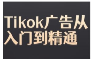 Tiktok Ads实操教程，Tiktok广告从入门到精通-0716网赚平台