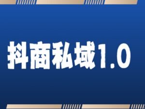 抖商服务私域1.0，抖音引流获客详细教学-0716网赚平台