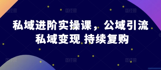 私域进阶实操课，公域引流 私域变现 持续复购-0716网赚平台