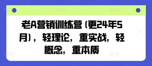 老A营销训练营(更24年11月)，轻理论，重实战，轻概念，重本质-0716网赚平台