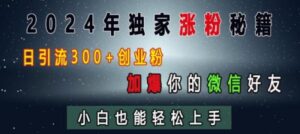 2024年独家涨粉秘籍，日引流300+创业粉，加爆你的微信好友，小白也能轻松上手-0716网赚平台