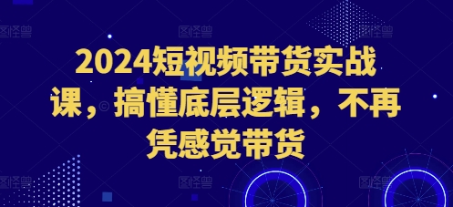 2024短视频带货实战课，搞懂底层逻辑，不再凭感觉带货-0716网赚平台