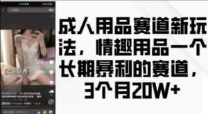 成人用品赛道新玩法，情趣用品一个长期暴利的赛道，3个月收益20个【揭秘】-0716网赚平台