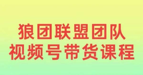 狼团联盟2024视频号带货，0基础小白快速入局视频号-0716网赚平台