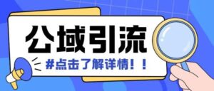 全公域平台，引流创业粉自热模版玩法，号称日引500+创业粉可矩阵操作-0716网赚平台