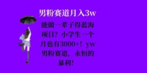 能做一辈子的蓝海项目？小学生一个月也有3000+，yw男粉赛道，永恒的暴利-0716网赚平台