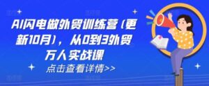 AI闪电做外贸训练营(更新11月)，从0到3外贸万人实战课-0716网赚平台