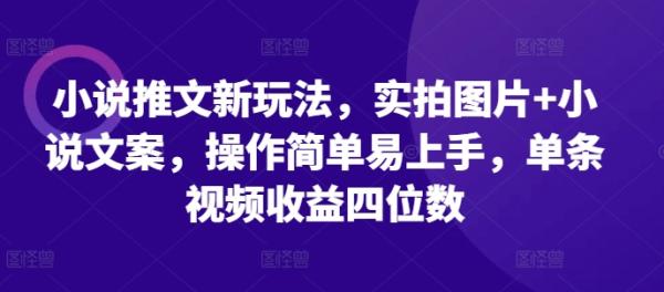 小说推文新玩法，实拍图片+小说文案，操作简单易上手，单条视频收益四位数-0716网赚平台