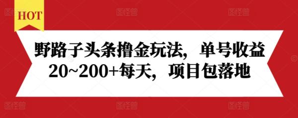 野路子头条撸金玩法，单号收益20~200+每天，项目包落地-0716网赚平台