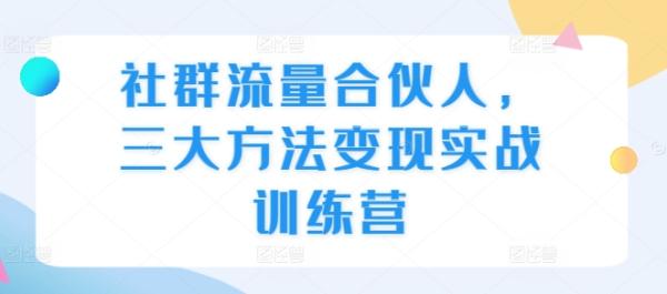 社群流量合伙人，三大方法变现实战训练营-0716网赚平台