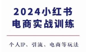 2024小红书电商3.0实战训练，包含个人IP、引流、电商等玩法-0716网赚平台