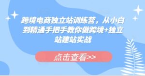 跨境电商独立站训练营，从小白到精通手把手教你做跨境+独立站建站实战-0716网赚平台