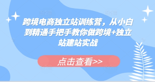 跨境电商独立站训练营，从小白到精通手把手教你做跨境+独立站建站实战-0716网赚平台