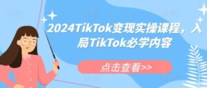 2024TikTok变现实操课程，入局TikTok必学内容-0716网赚平台