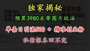 预算3980求带 图片玩法，单条日引流500+精准创业粉，私信根本回不完-0716网赚平台