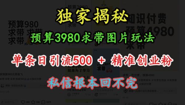 预算3980求带 图片玩法，单条日引流500+精准创业粉，私信根本回不完-0716网赚平台