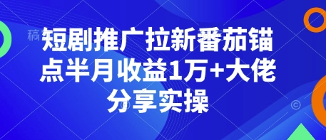 短剧推广拉新番茄锚点半月收益1万+大佬分享实操-0716网赚平台