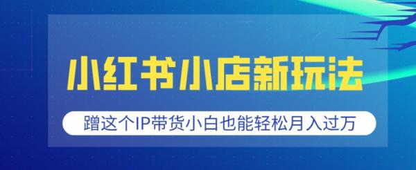 小红书小店新玩法，蹭这个IP带货，小白也能轻松月入过W【揭秘】-0716网赚平台