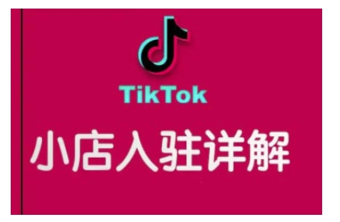 TikTok跨境小店运营全攻略，帮助你独立运营TK跨境小店的能力，实现销量增长-0716网赚平台