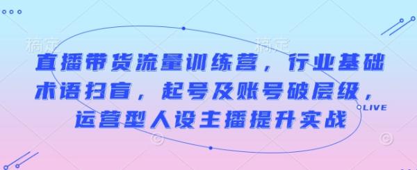 直播带货流量训练营，行业基础术语扫盲，起号及账号破层级，运营型人设主播提升实战-0716网赚平台