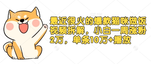 最近很火的爆款猫咪做饭视频拆解，小白一周涨粉2万，单条10万+播放(附保姆级教程)-0716网赚平台