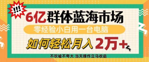 6亿群体蓝海市场，零经验小白用一台电脑，如何轻松月入过w【揭秘】-0716网赚平台