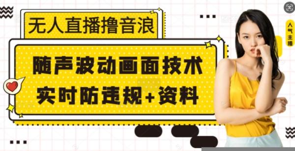 无人直播撸音浪+随声波动画面技术+实时防违规+资料【揭秘】-0716网赚平台