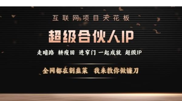 互联网项目天花板，超级合伙人IP，全网都在割韭菜，我来教你做镰刀【仅揭秘】-0716网赚平台